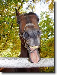 Ne každý je fotogenický...