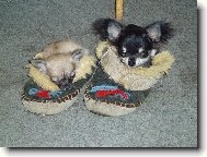 To se nám krásně spinká