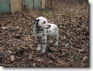 Tracynka,není nádherná?Je,je,je je......