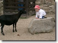 kozo mééééééé