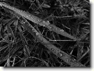 lepší než ranní káva