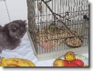 Sára+ křeček Váša