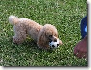 Tak,je můj a teď si mě budeš muset chytit!