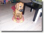 Vždyť já nejsem tak velké štěňátko