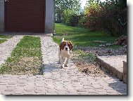 Už k vám běžím.