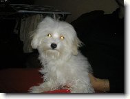 naše beruška Sárinka