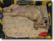 Nechte mě v klidu vyspat!!!