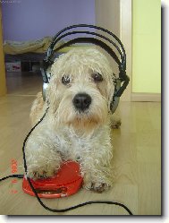 Mám tu nejlepší muziku!!!