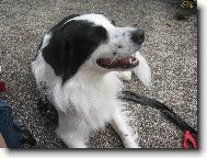 Bonie nebo-li neviditelný