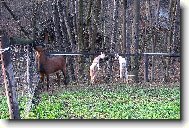 kdo vyskočí víš?