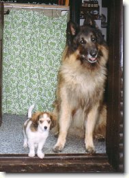 Můj milovaný Cliff (Dino Rudolfovská skála CZ) s Maxem