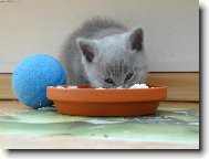 Když budu hodně baštit, vyrostu jako máma