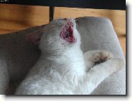 Kdo se směje naposled...