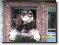 rozhled na celý svět