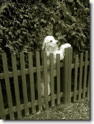 Tak Vám teda nějak zapózuju,když už jste tu s tim foťákem..stojim dobře?