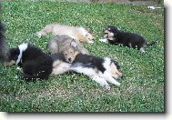 ...pohoda,klídek,tabáček...