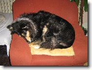 ...bez konemtáře...