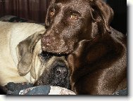 ...prostě se máme rádi!