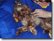 Jeje...áááá,lážo plážo