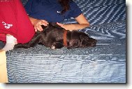 nerušit spinkám....