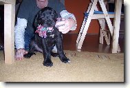 To mám pěknou hračku co??