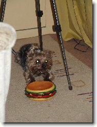 Johny se svým vánočním dárečkem