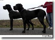 Bráškové na procházce