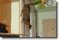 Dolu je to nejlehčí