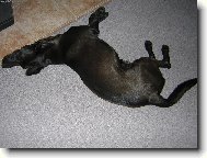 Pohodička,ale ta hlava se mi tam nějak nevejde