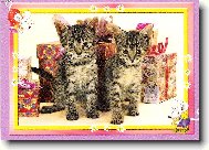 ještě jestli  je tu pro nás nějaký dáreček