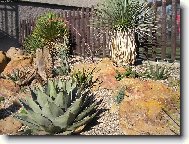 Mů kousek Arizony 2