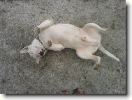 podrbejmě....na bříšku