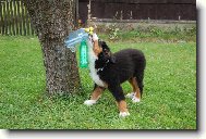 Ben a jeho hračka :D