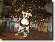 Říkají že dorostu