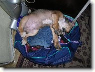 Aby jste mě tady náhodou nezapoměli! jistota je jistota