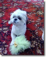 Naše miminko Edánek