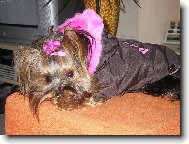 Naše fotomodelka Eliška