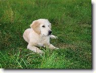 pohodička tu mám rád