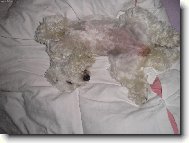 Tak bych se chtěla také mít