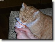 Pochutnání našeho Matýska