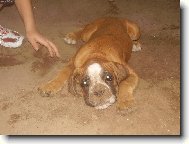 Hrajeme si na krtečka...