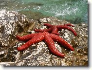 Rudé hvězdy trochu jinak