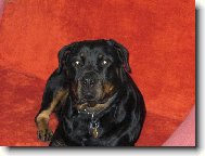 Nellynka si lebedí na sedačce