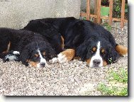 Lusynka s malou Eliškou