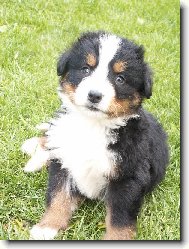 sem malej ale šikovnej