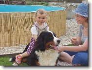 na koníčka si vyskočím...