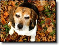 svítí mi do očí.. :-)