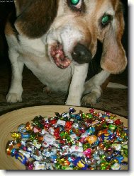 a teď vás všechny sním...!