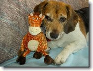 tak tuhle kost dneska zbalím...