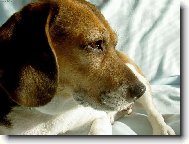 stačí už jen nahodit profesionální úsměv